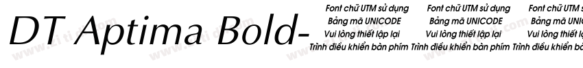 DT Aptima Bold字体转换